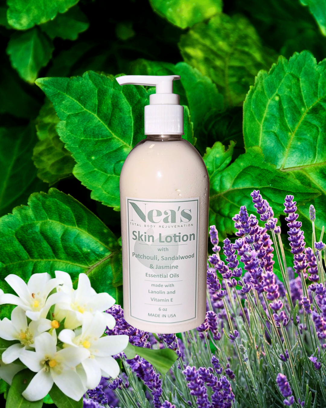 Body Lotions - 6 oz