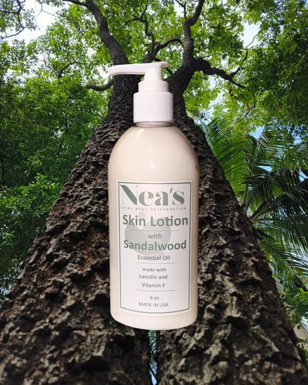 Sandalwood Whipped Body Lotion - 6 oz