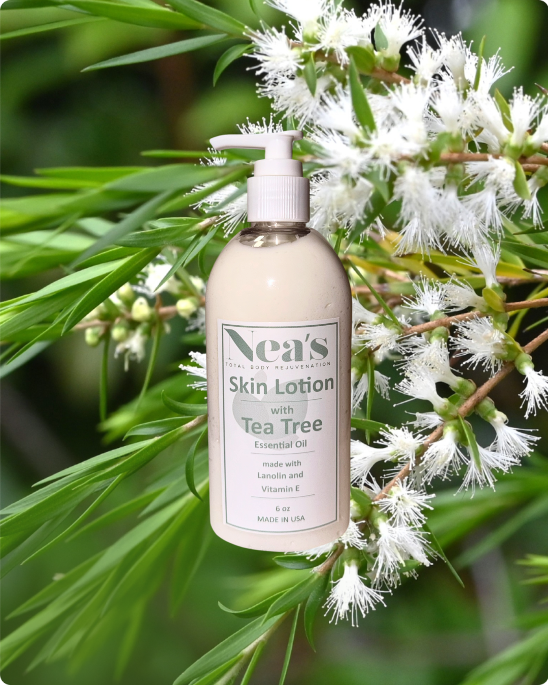 Tea Tree Whipped Body Lotion - 6oz