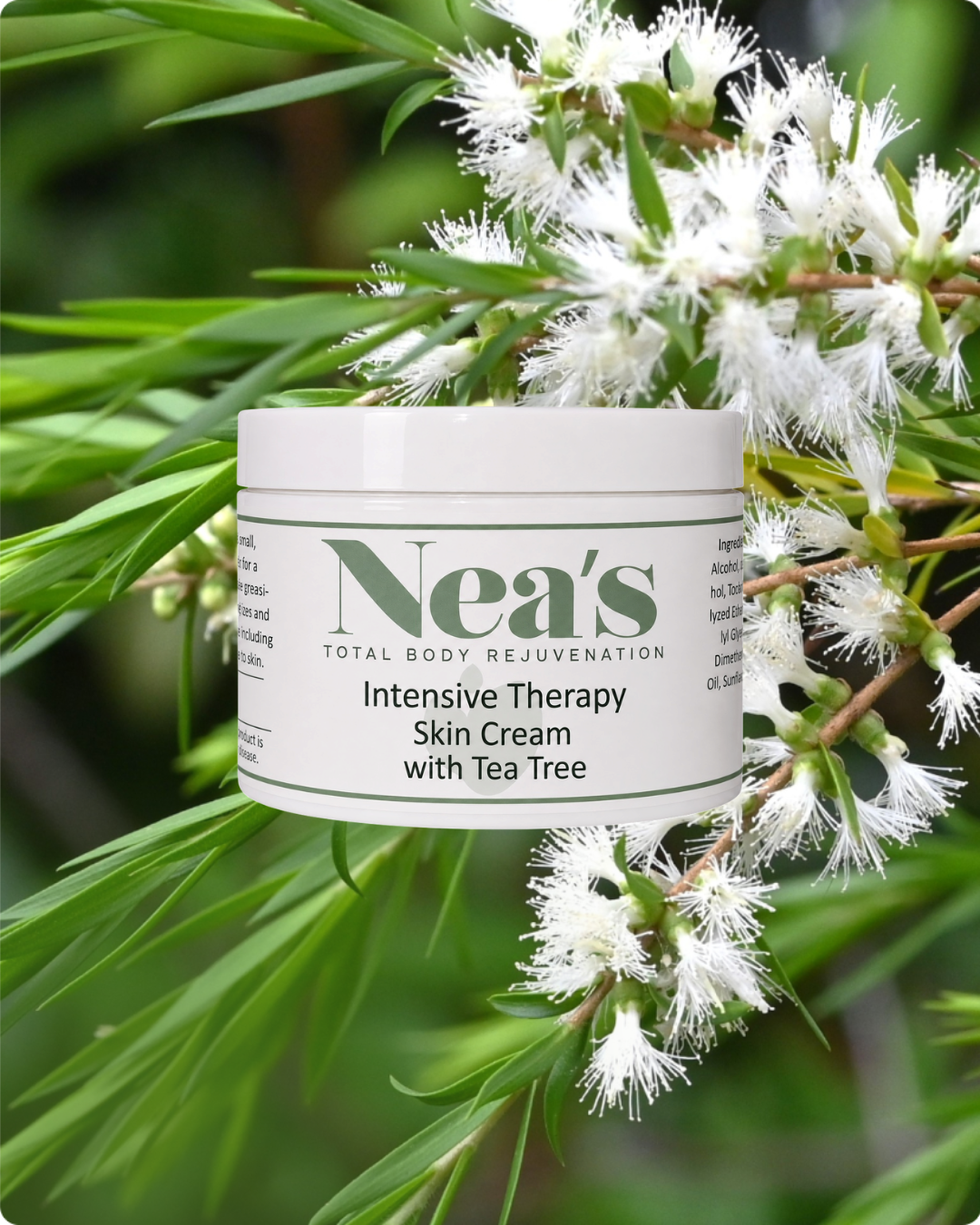 Tea Tree Whipped Body Cream - 3oz